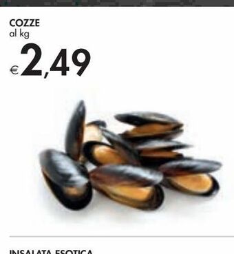 Bennet Cozze offerta