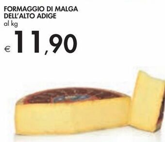 Formaggio di malga dell'alto adige