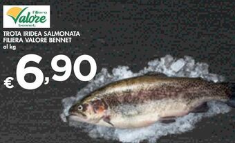 Bennet Trota iridea salmonata filiera valore bennet offerta