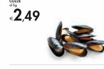 Bennet Cozze offerta