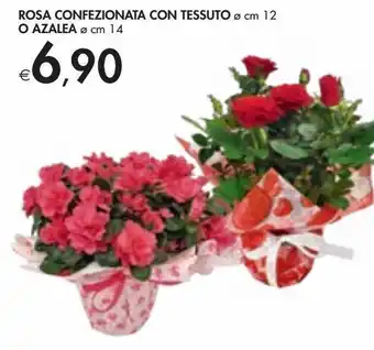 Bennet Rose confezionata con tessuto o azalea offerta