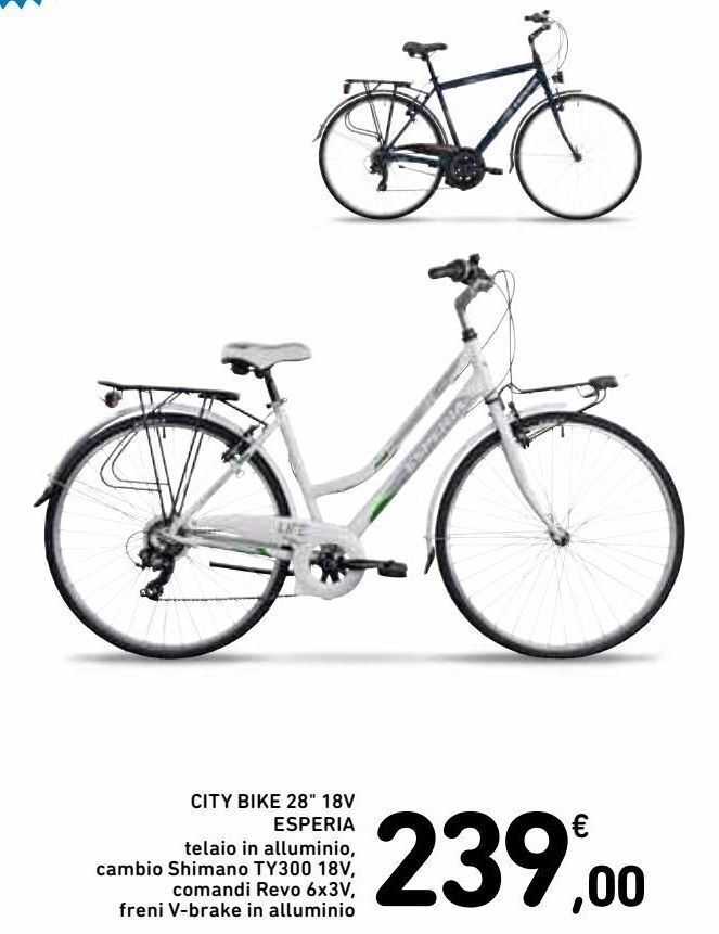 City bike 28\