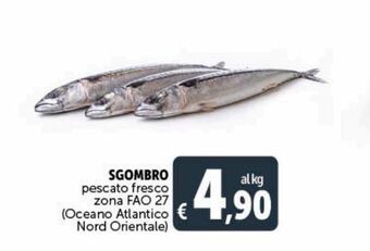 Sgombro pescato fresco