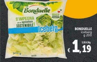 Bonduelle iceberg g 200