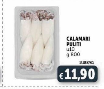 Deco Superstore Calamari puliti offerta