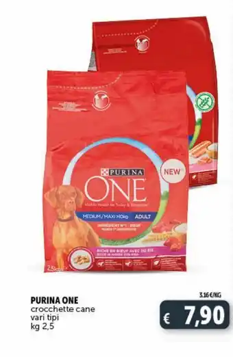 Deco Superstore Crocchette cane vari tipi kg 2.5 purina one offerta