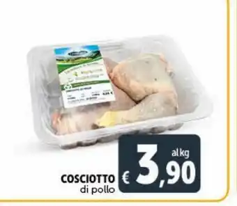Deco Maxistore Cosicotto di pollo offerta