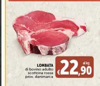 Deco Maxistore Lombata di bovino adulto offerta