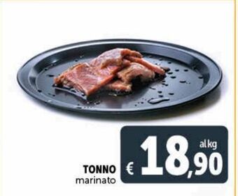 Deco Maxistore Tonno marinato offerta