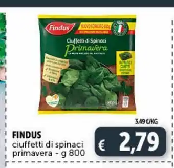 Deco Maxistore Findus ciuffetti di spinaci offerta