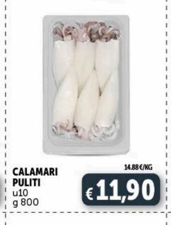 Deco Market Calamari puliti offerta