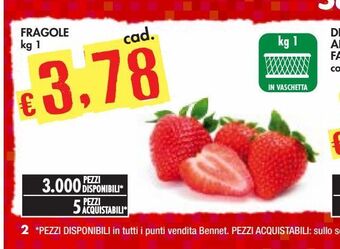 Bennet Fragole offerta