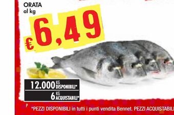 Bennet Orata offerta