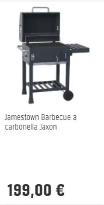 OBI Jamestown Barbecue a carbonella Jaxon offerta