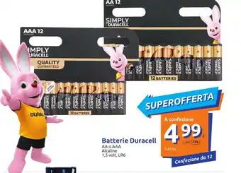 Action Duracell Batterie AA o AAA Alcaline offerta