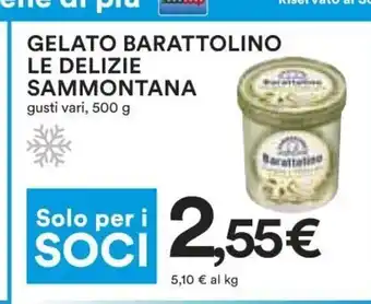Coop Gelato Barattolino Le Delizie Sammontana 500g offerta