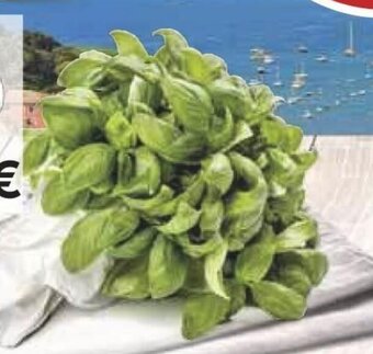 Coop Basilico Genovese Orto Qui offerta