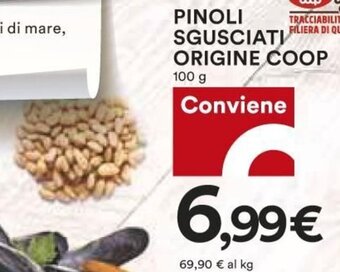 Coop Pinoli Sgusciati Origine Coop 100 g offerta