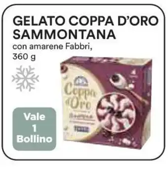 Coop Gelato Coppa D'Oro Sammontana con amarene Fabbri, 360g offerta