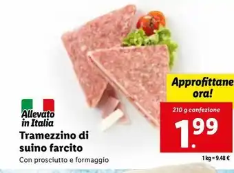 Lidl Tramezzino do suino farcito con prosciutto e formaggio 210g offerta