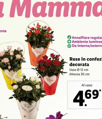 Lidl Rose in confezione decorata offerta