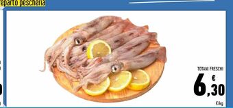 Conad Totani freschi offerta