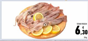 Conad Superstore Totani freschi offerta