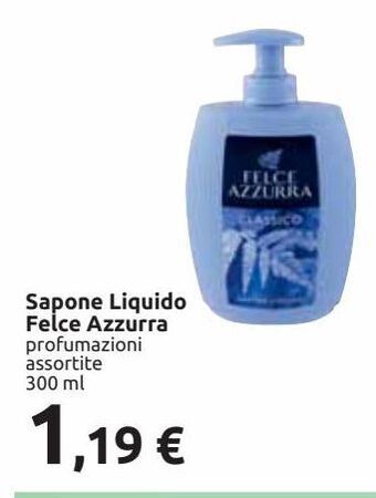 Carrefour Iper Sapone liquido felce azzurra offerta