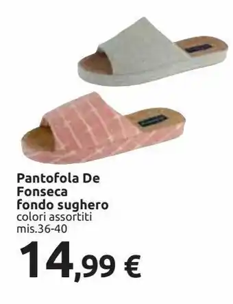 Pantofola de fonseca fondo sughero