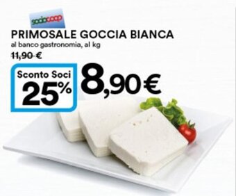 Primosale Goccia Bianca