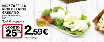 Ipercoop Mozzarella Fior Di Latte Sassano 250 g offerta