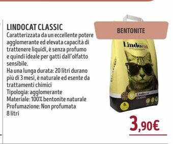 Il Gigante Lindocat classic offerta