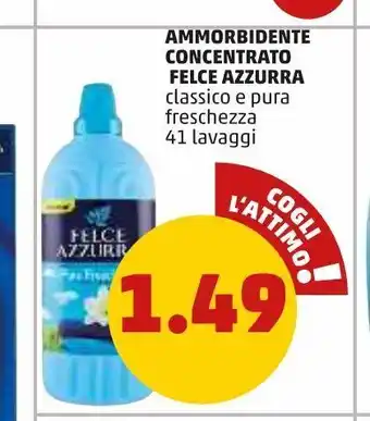 PENNY Ammorbidente concentrato felce azzurra offerta