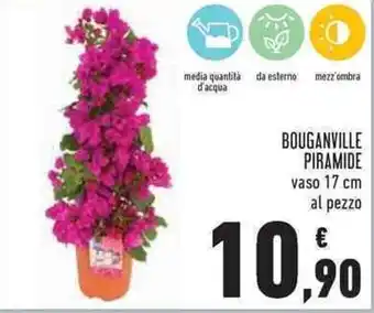 Conad Bouganville Piramide vaso 17 cm offerta
