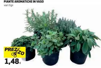 Ipercoop Piante aromatiche in vaso offerta