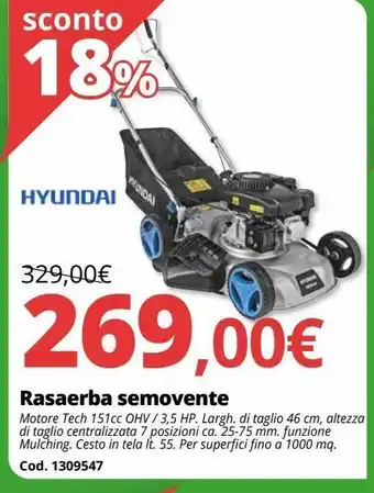 Brico Io Rasaerba semovente offerta