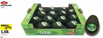 Coop Avocado hass offerta