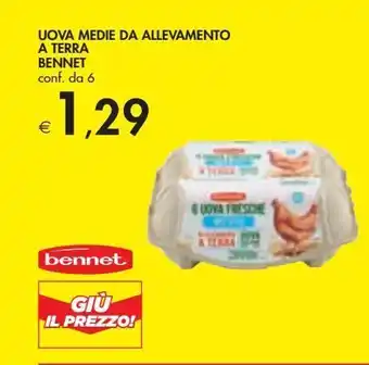 Bennet Uova medie da allevamento bennet conf da 6 offerta