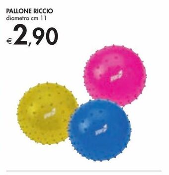Bennet Pallone riccio offerta