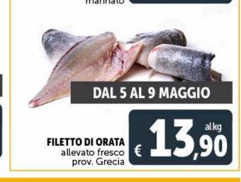 Deco Superstore Filetto di orata offerta