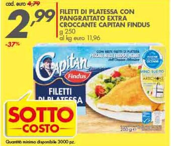 Italmark Capitan Findus Filetti di Platessa con Pangrattato Extra Croccante 250 g offerta
