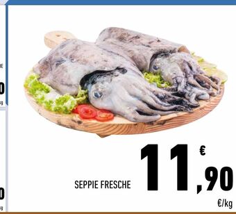 Conad Seppie fresche offerta