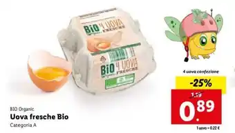 Lidl Bio Organic Uova fresche Bio offerta