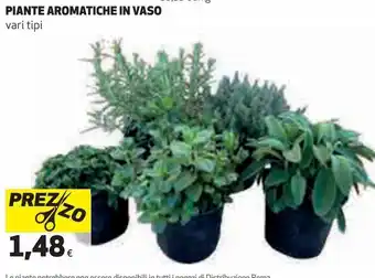 Coop Piante aromatiche in vaso offerta
