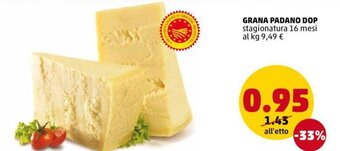 PENNY Grana Padano DOP Stagionatura 16 Mesi offerta