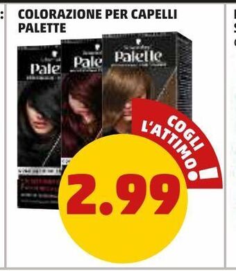 Colorazione per capelli palette