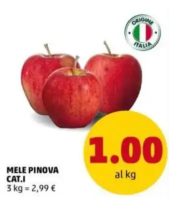 PENNY Mele Pinova Cat.I 3 kg offerta