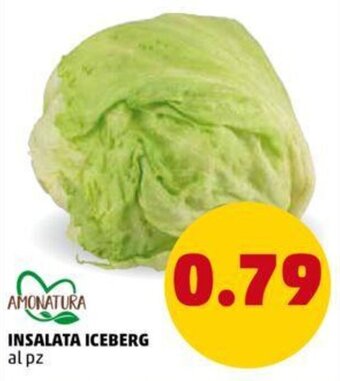 PENNY Amonatura Insalata Iceberg offerta