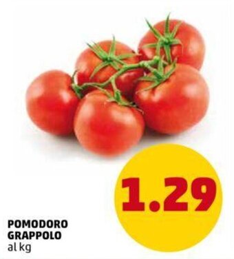 PENNY Pomodoro Grappolo offerta