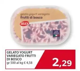 Mercatò Extra Selex Gelato Yogurt Variegato Frutti di Bosco 500 gr offerta